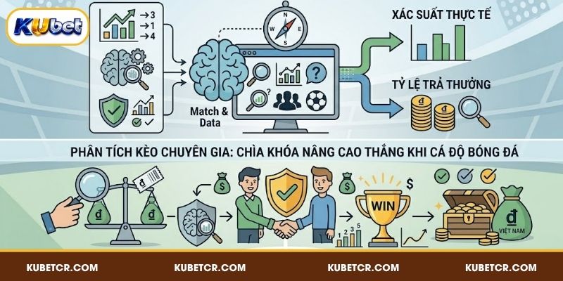 Phân tích kèo chuyên gia là chìa khóa nâng cao thắng khi cá độ bóng đá